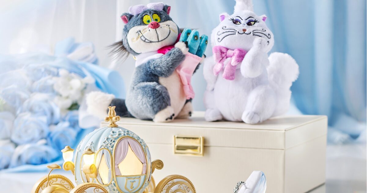 Disney LOVE♡様 リクエスト 5点 まとめ商品 プリンセス気分が楽しめる♡ディズニーストアの新コレクション